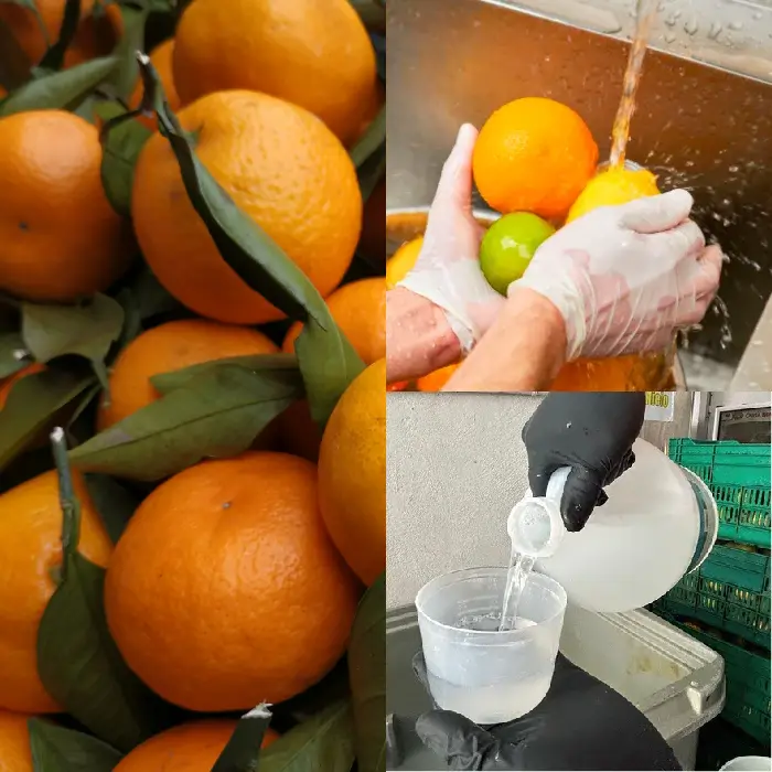 Lavado y desinfección de fruta para jugos naturales