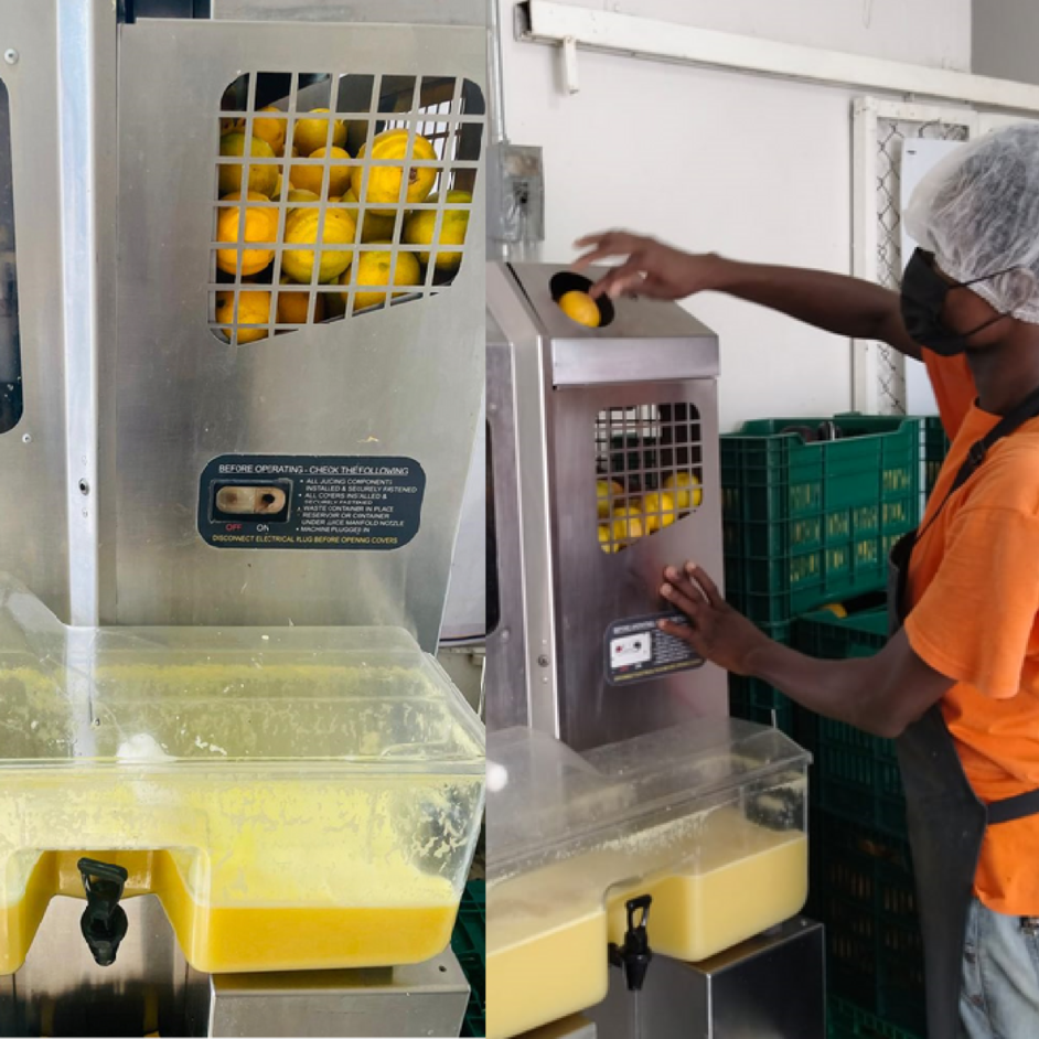 Extracción de jugo con selección de fruta de calidad